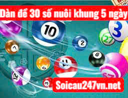 Dan-de-30-so-nuoi-khung-5-ngay