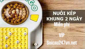 Nuoi-lo-bach-thu kep-khung-2-ngay
