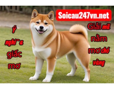 Mo-thay-cho-vang-danh-con-gi