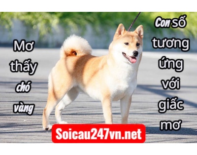 Mo-thay-cho-vang-danh-con-gi