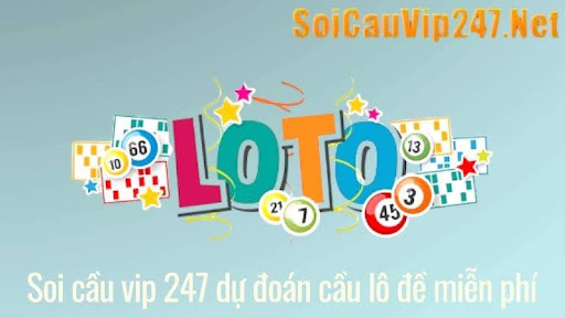 Soi Cầu VIP 247
